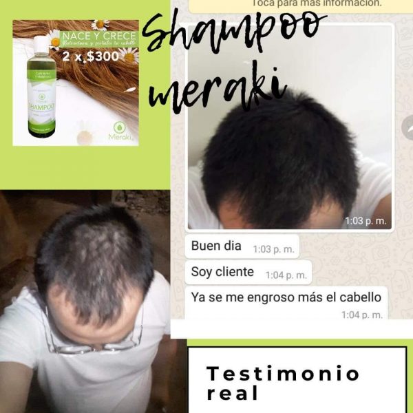 testimonios meraki